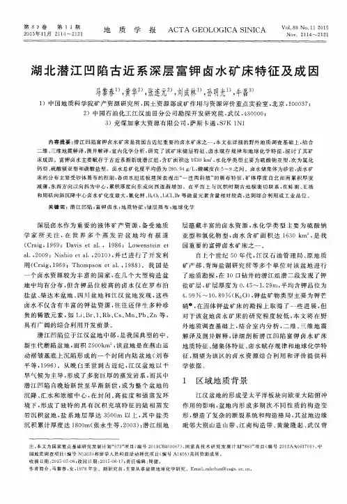 湖北潜江凹陷古近系深层富钾卤水矿床特征及成因