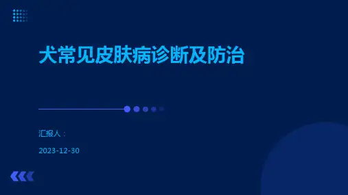 犬常见皮肤病诊断及防治