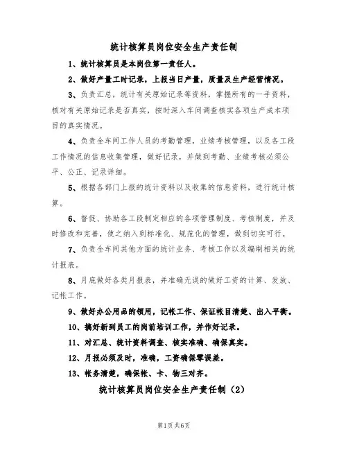 统计核算员岗位安全生产责任制(5篇)
