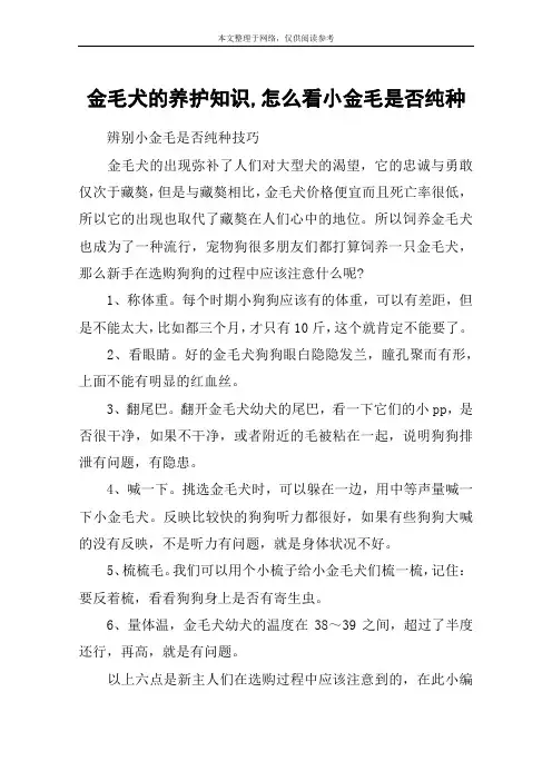 金毛犬的养护知识,怎么看小金毛是否纯种