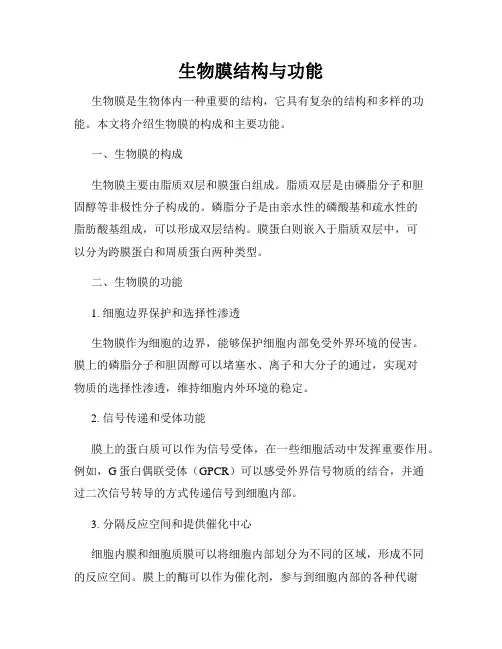 生物膜结构与功能