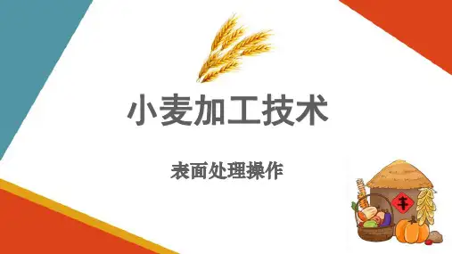 小麦加工前处理操作—表面处理操作