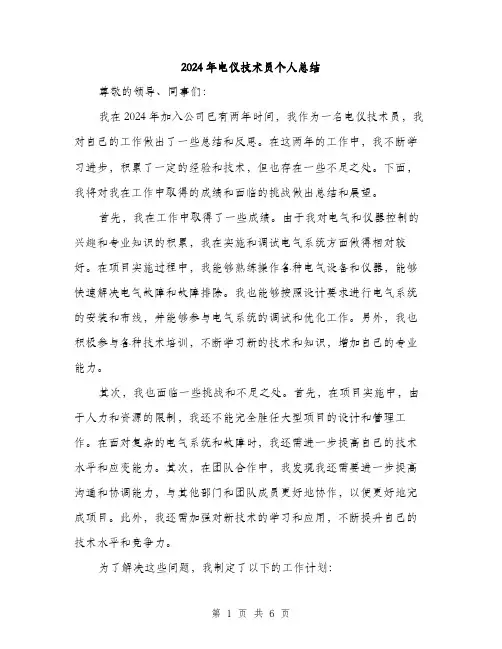 2024年电仪技术员个人总结(二篇)