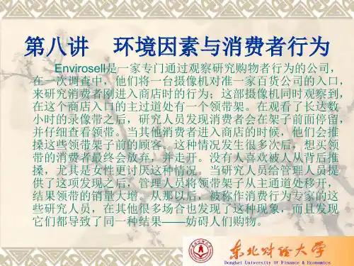 第八讲  环境因素与消费者行为
