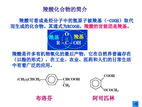 有机化学_羧酸