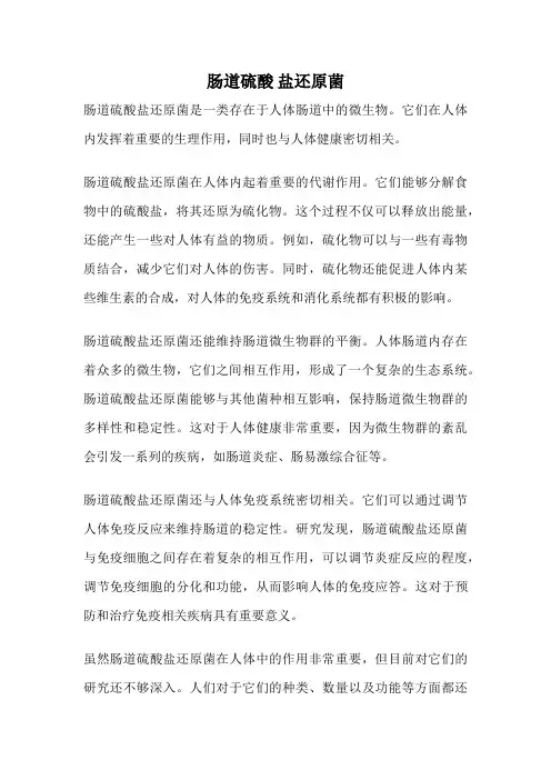 肠道硫酸 盐还原菌
