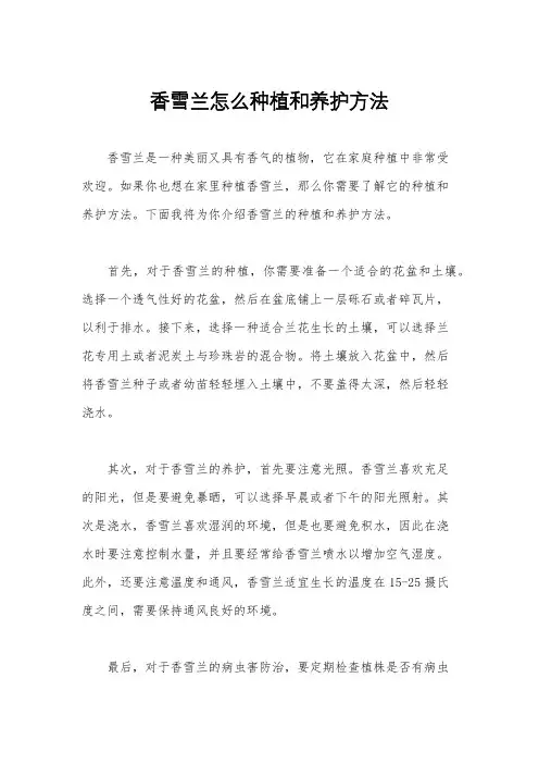 香雪兰怎么种植和养护方法