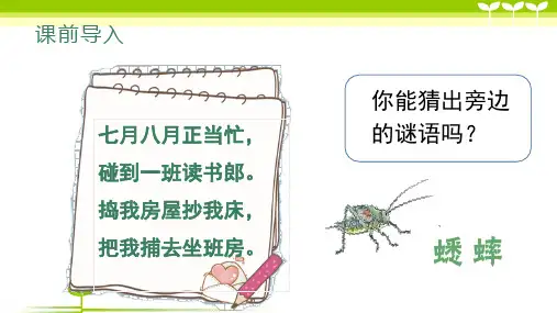 部编版四年级语文(上课)11.蟋蟀的住宅-课件