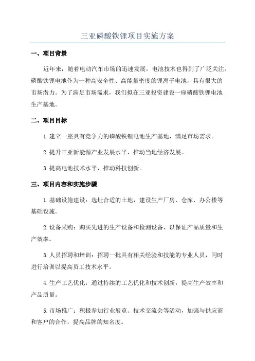 三亚磷酸铁锂项目实施方案