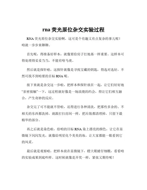 rna荧光原位杂交实验过程
