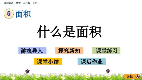 《_什么是面积》PPT课件
