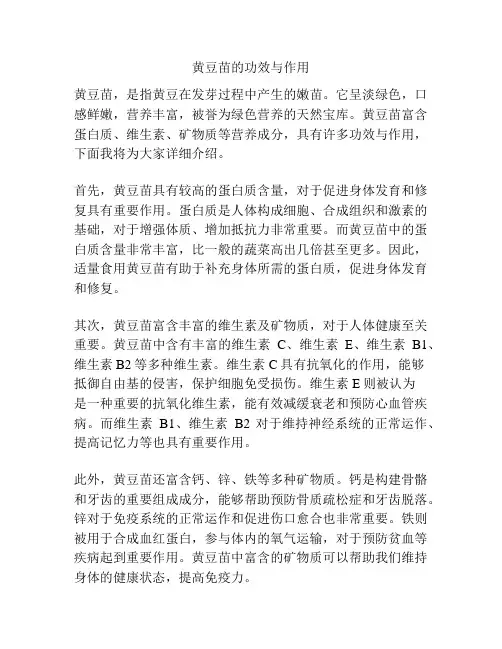黄豆苗的功效与作用