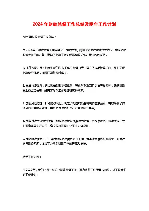 2024年财政监督工作总结及明年工作计划