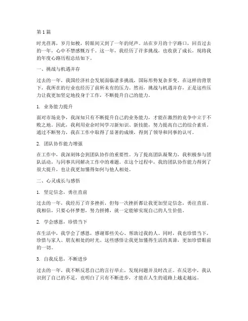 年度总结的心路历程(3篇)
