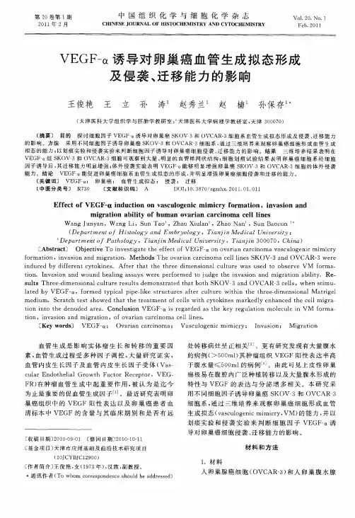 VEGF-α诱导对卵巢癌血管生成拟态形成及侵袭、迁移能力的影响