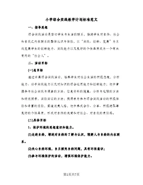 小学综合实践教学计划标准范文（3篇）