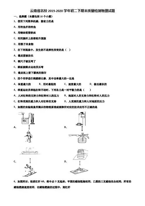 云南省名校2019-2020学年初二下期末质量检测物理试题含解析