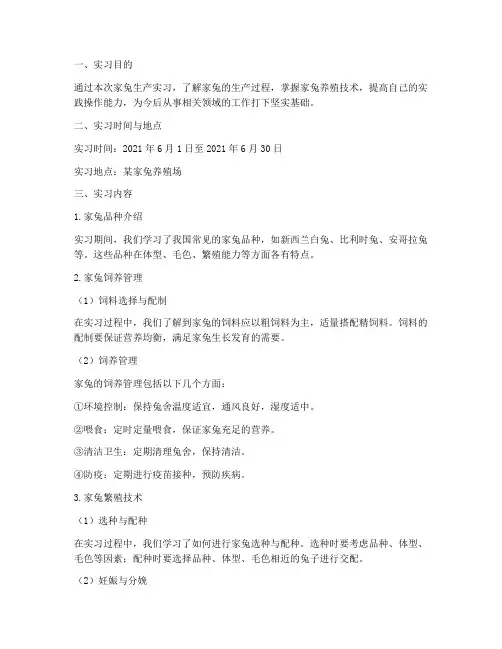 家兔生产实习报告