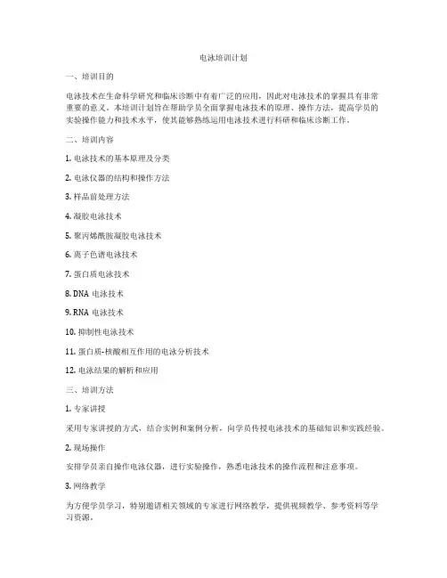 电泳培训计划