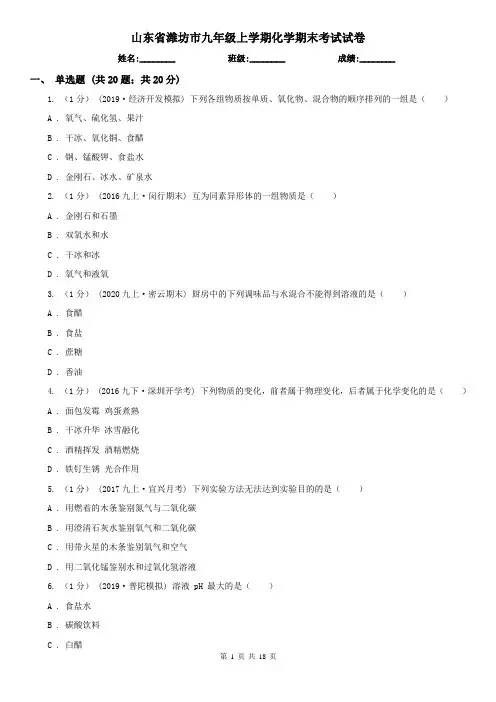 山东省潍坊市九年级上学期化学期末考试试卷