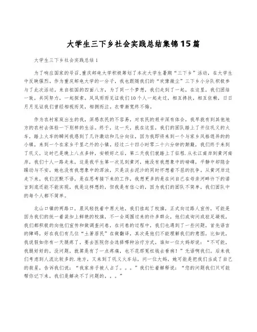 大学生三下乡社会实践总结集锦15篇
