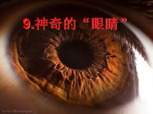 小学科学五年级下册神奇的“眼睛”-课件