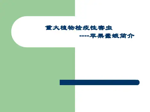 苹果蠹蛾
