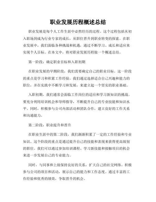 职业发展历程概述总结