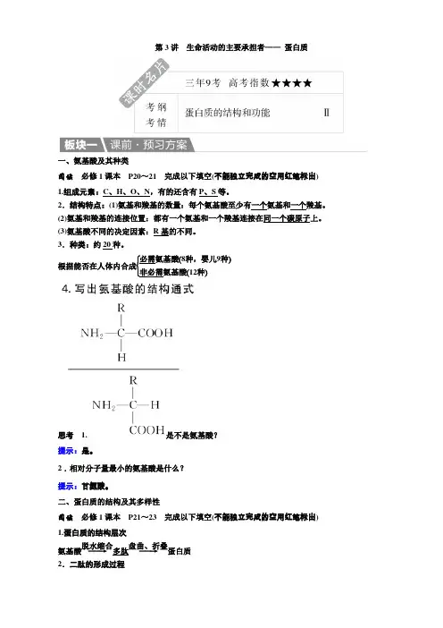 一轮教案：第3讲-生命活动的主要承担者—蛋白质