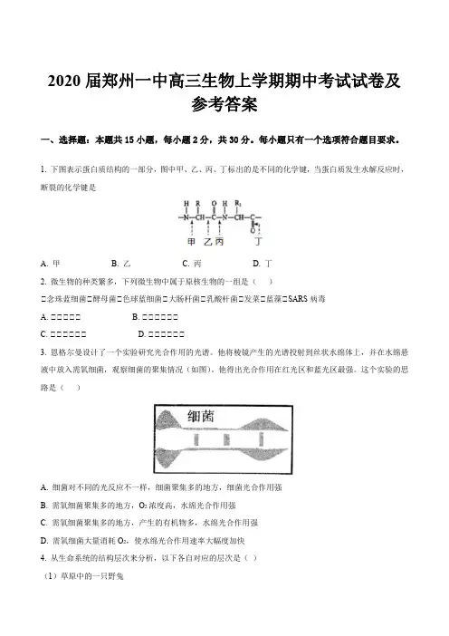 2020届郑州一中高三生物上学期期中考试试卷及参考答案