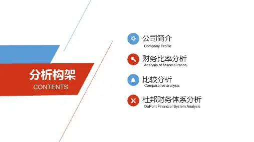 红蓝框架完整公司财务报表分析报告教学PPT课件