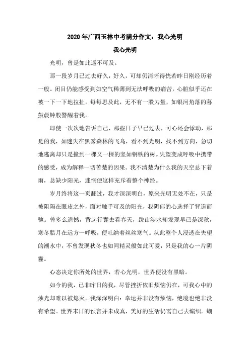 2020年广西玉林中考满分作文：我心光明