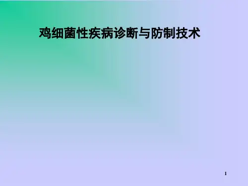 鸡细菌性疾病诊断与防制PPT课件