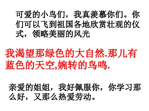 《鸽血染红的求救信》PPT课件【最新】