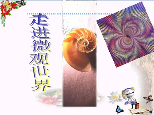 (精选)五年级美术下册第14课《微观世界》 优秀课件2人教版