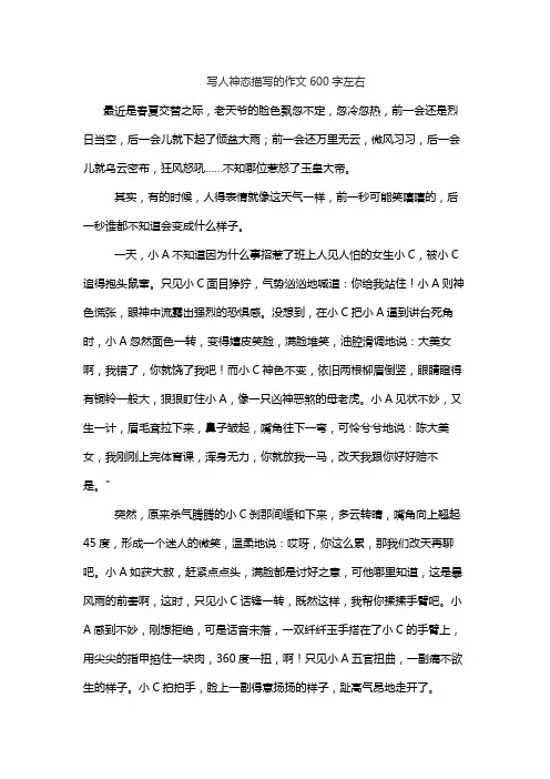 写人神态描写的作文600字左右