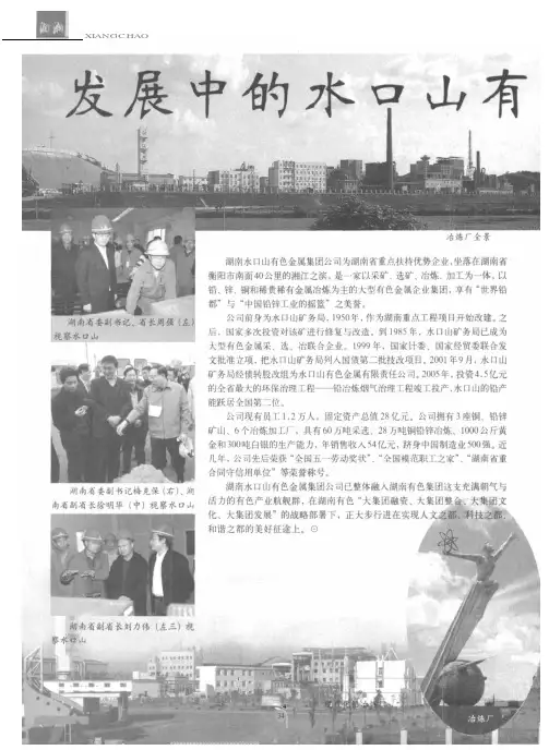 发展中的水口山有色金属集团公司