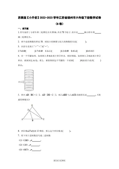 苏教版【小升初】2022-2023学年江苏省扬州市六年级下册数学试卷(B卷)含解析