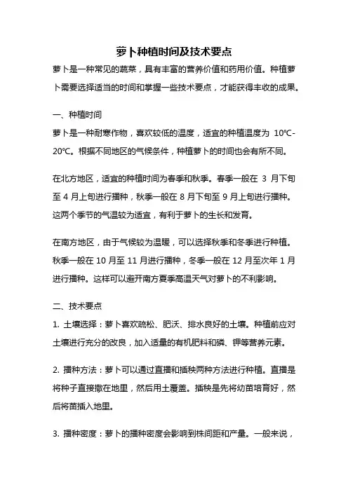 萝卜种植时间及技术要点
