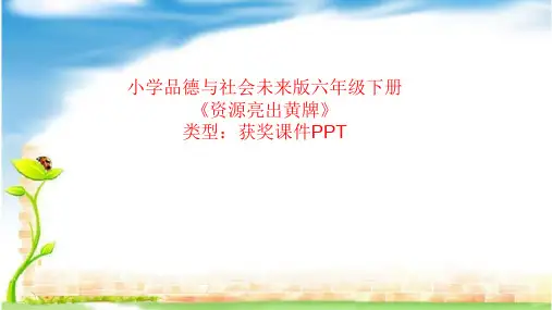 小学品德与社会未来版六年级下册资源亮出黄牌  课件PPT