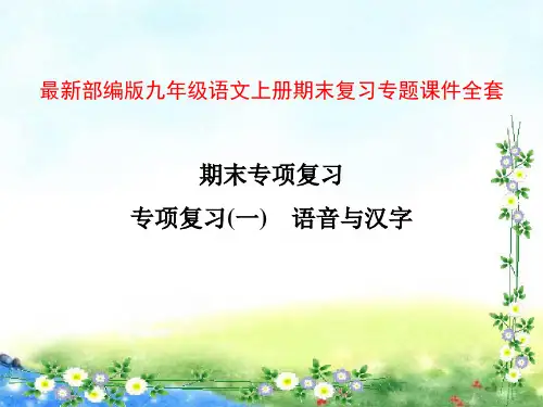 部编版九年级语文上册期末复习专题课件全套 196张幻灯片