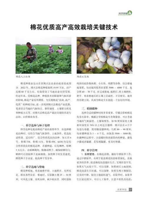 棉花优质高产高效栽培关键技术