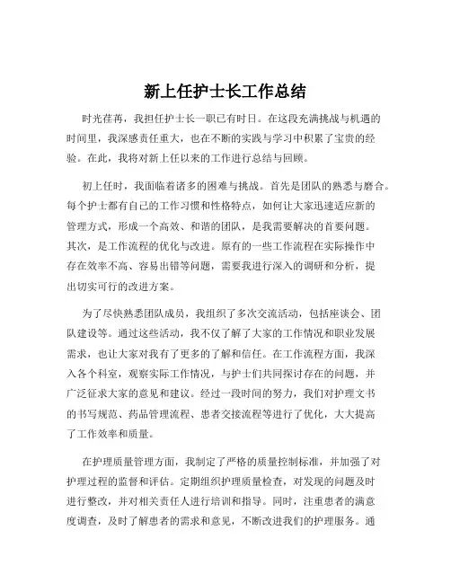 新上任护士长工作总结