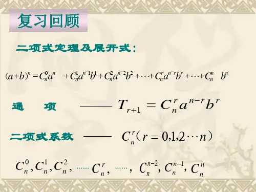 杨辉三角课件