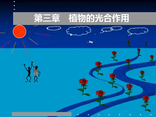 植物的光合作用ppt课件