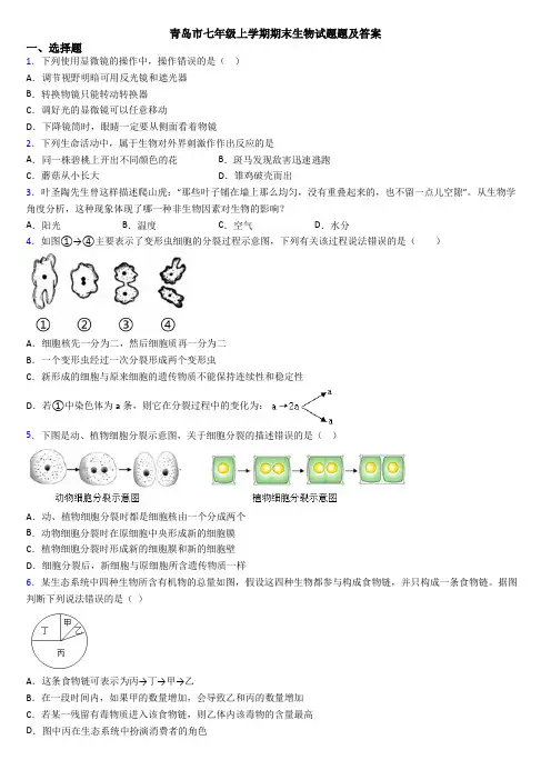 青岛市七年级上学期期末生物试题题及答案