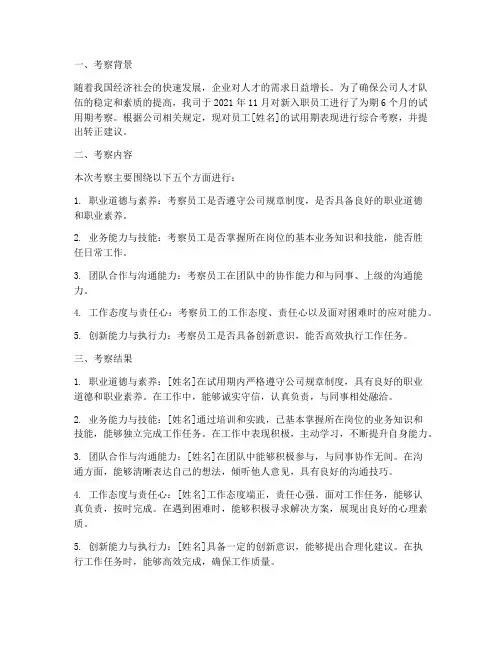 转正综合考察报告范文