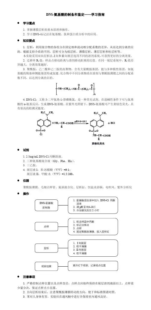 学习指南6 DNS-氨基酸的制备和鉴定