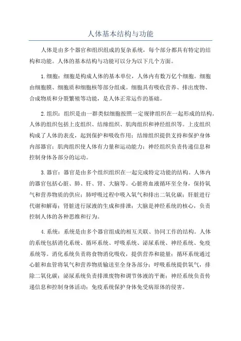 人体基本结构与功能
