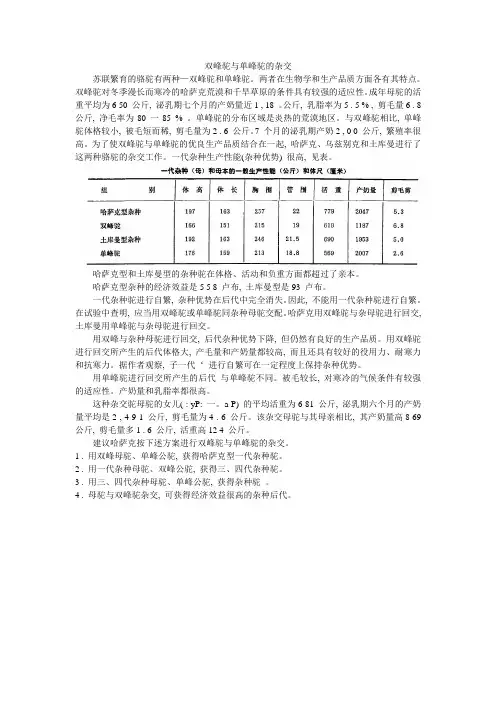 双峰驼与单峰驼的杂交